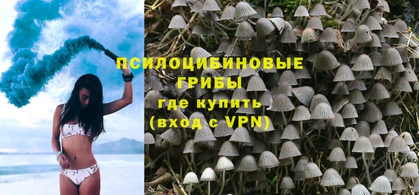 прущие крисы Елизово