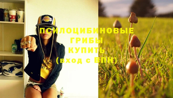 прущая мука Елабуга